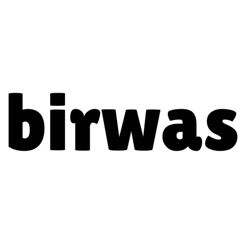 birwas.com ASPECT Camera Laptop Backpack